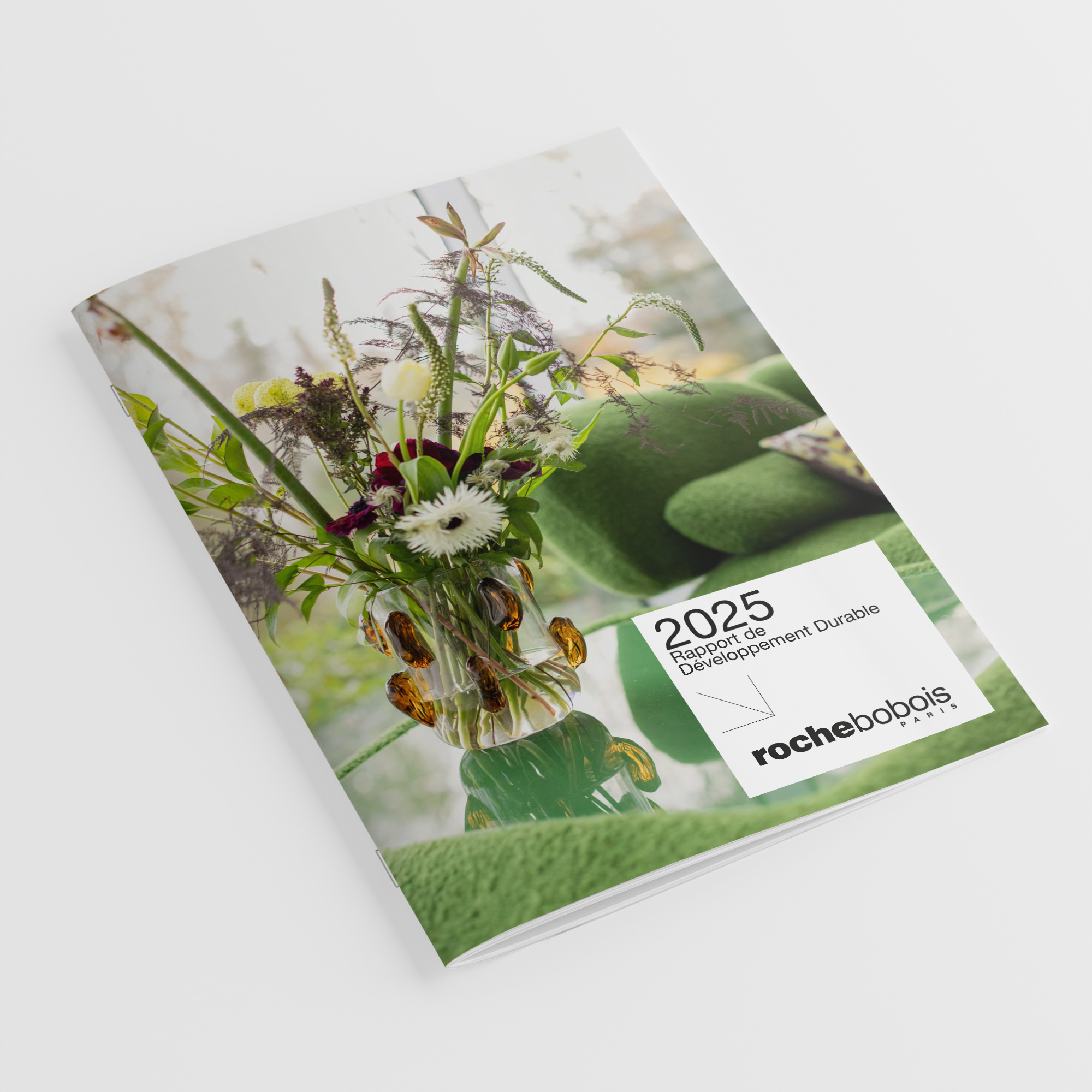 Rapport D&eacute;veloppement Durable 2025