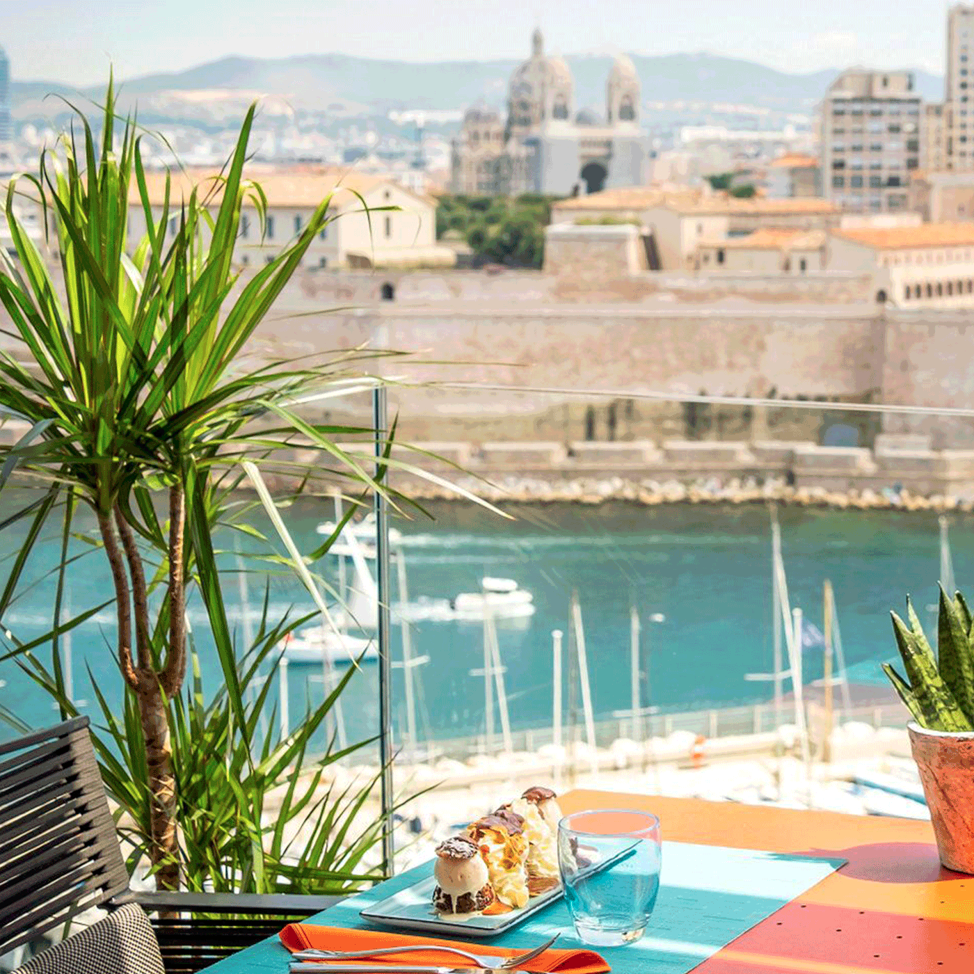 marseille_plante